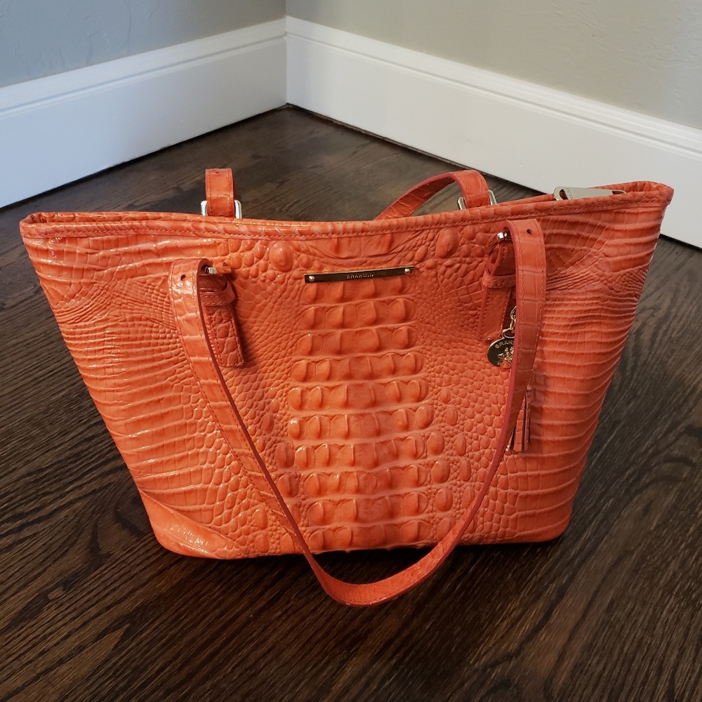 Brahmin Purse